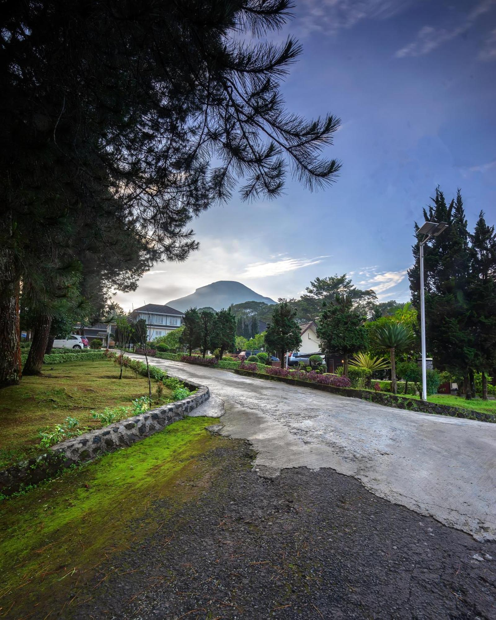 Tambi Tea Resort Kejajar Luaran gambar